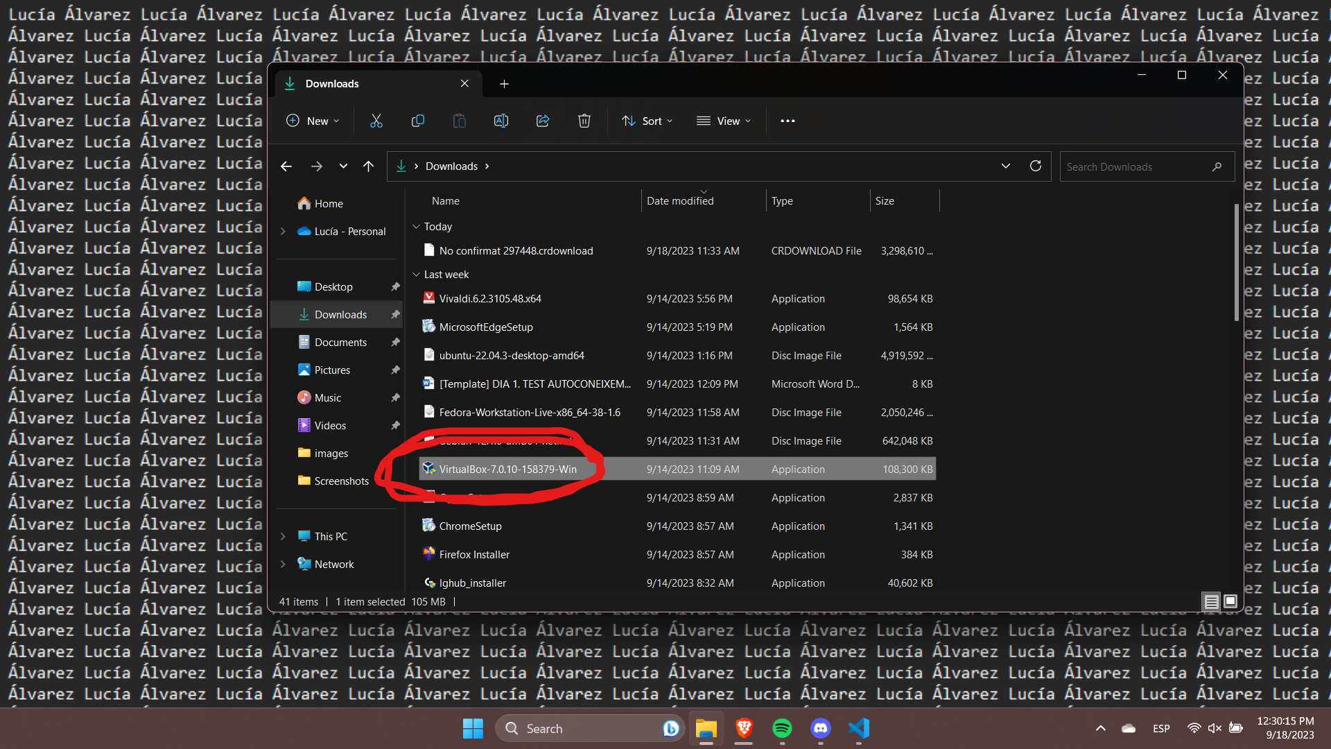 Executant l'instal·lador
