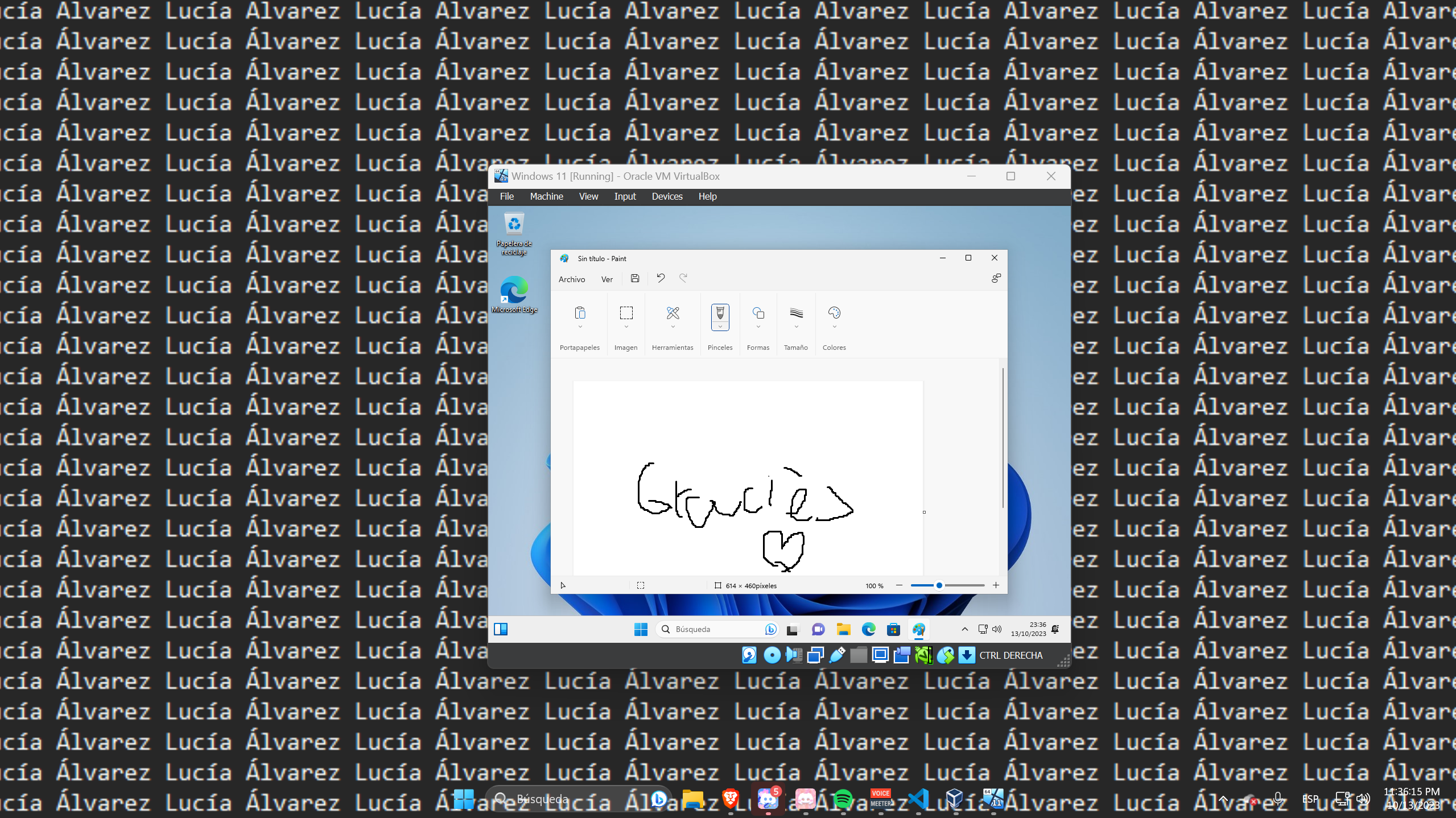 Sistema Operatiu Windows 11